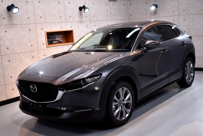 CX30-1